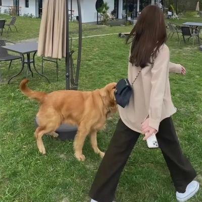 红皇后