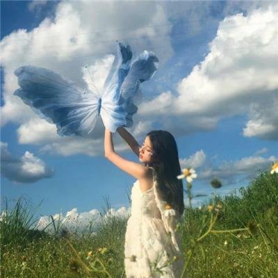 几度菊花香